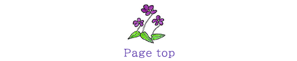 PAGE TOP