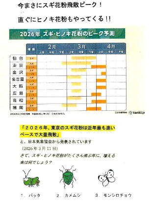 すみれ薬局　Instagram