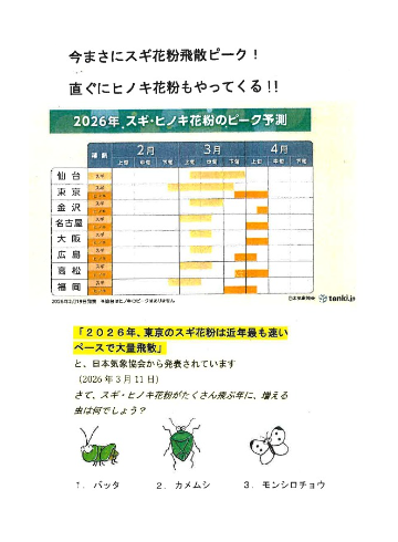 すみれ薬局　Instagram
